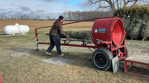 Customer Success Story: How Guelph Twines Helped Vanderklooster Christmas Tree Farm Deliver Perfect Trees Every Time